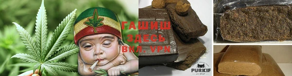 хмурый Алзамай