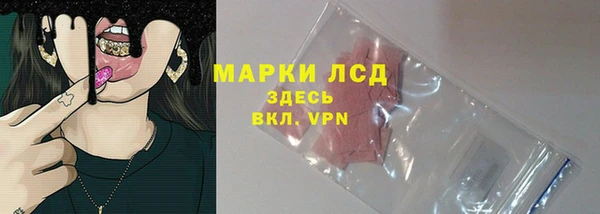 хмурый Алзамай