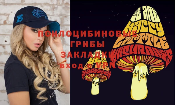 хмурый Алзамай