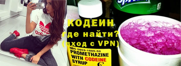 хмурый Алзамай